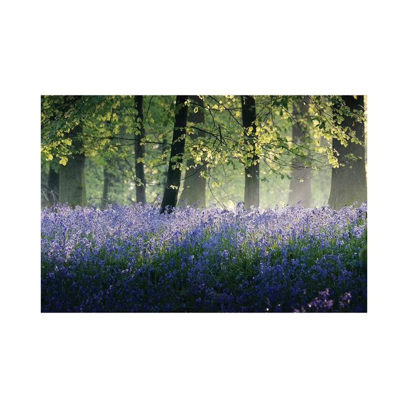 Last Of The Bluebells by Adelino Goncalves - Wrapped Canvas Painting, 20.32 cm H x 30.48 cm W