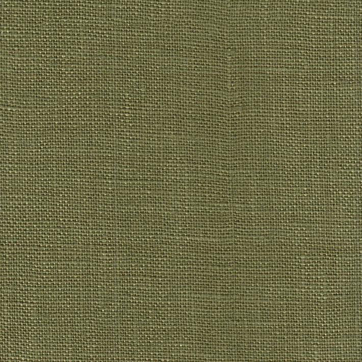 Palazzo, Bamboo