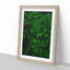 Fern Leaves Vol.3 - Framed Print-62803085-62803086