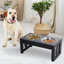 Bols pour chien surélevés PawHut-36071667