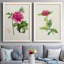«Pretty Pink Botanicals I», toile encadrée de qualité supérieure - prête à être accrochée-355801326-355801322