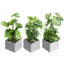 25cm Faux Foliage Plant in Cement Pot