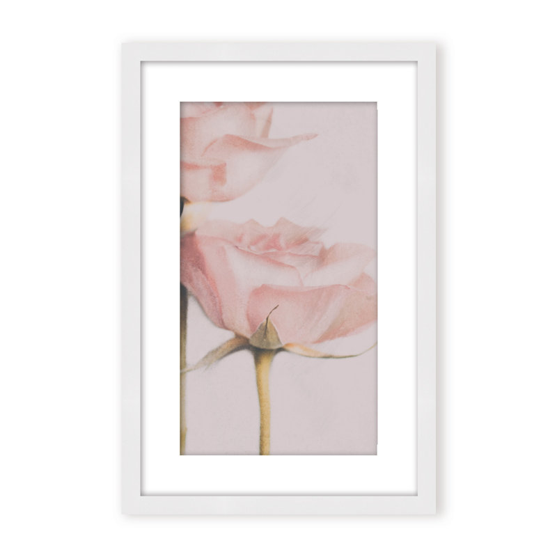 Nature Inspired Two Roses by  - Picture Frame Photograph on Paper, 36" H x 24" W x 1.125" D, Black, Framed Matted Print