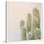 Cadre photo « fuzzy cactus », impression sur papier-24799794-32818027