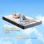 Matelas hybride à ressorts ensachés de 6 po Alwyn Home-59043851