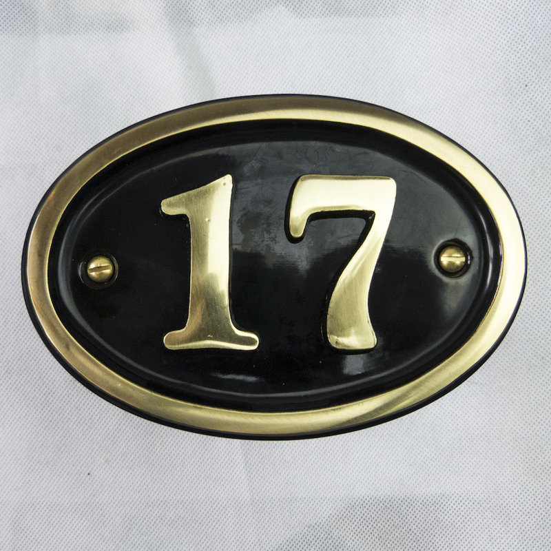 Tyrinia 10cm H Reflective Aluminum House Number, 17