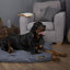 Expedition Orthopedic Polyester Pet Bed-2033301383