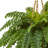 33'' Faux Fern Plant in Wicker Basket