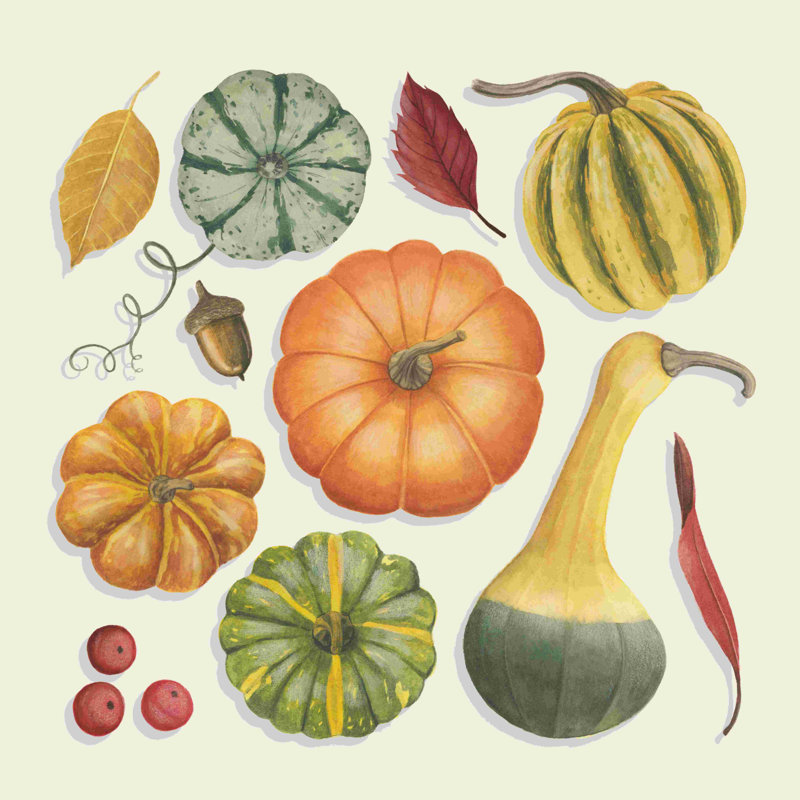Autumn Bounty I - impression sur toile tendue, H 12 po x l 12 po