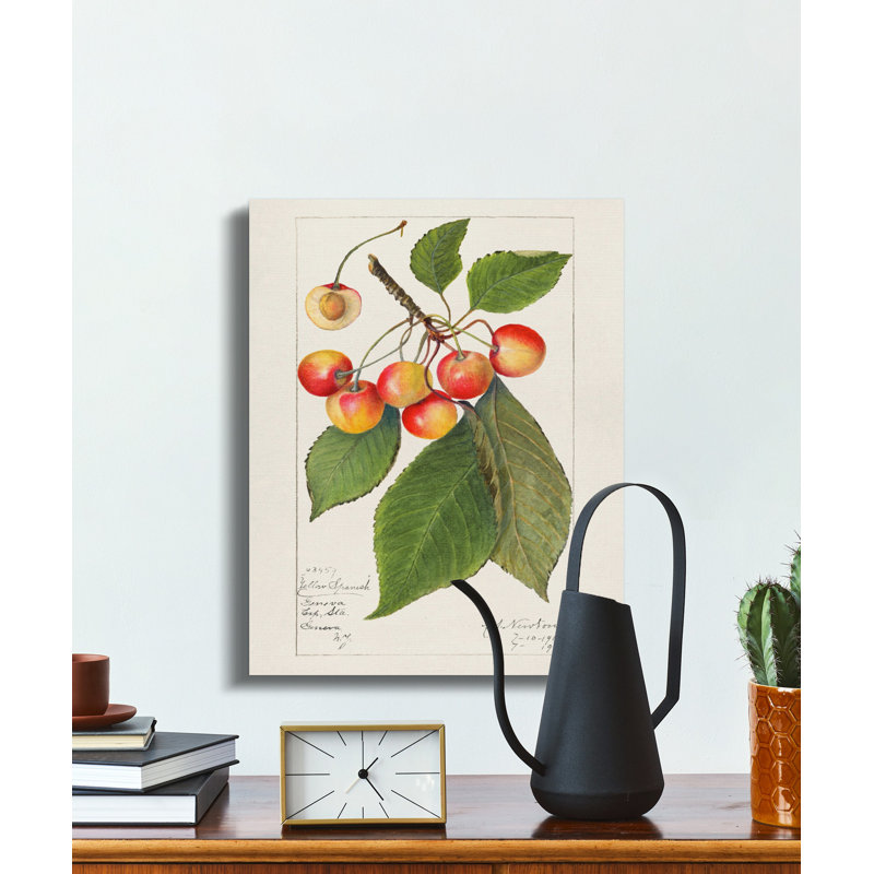 Wrapped Canvas Print Set, 20x30