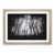 Oak Framed selected
