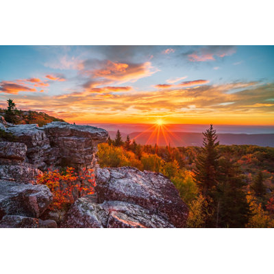Morning Radiance - Wrapped Canvas Print