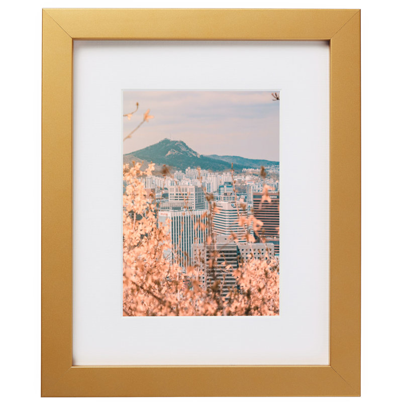 Cadre photo confetti 0,875 po Confetti, Doré, L 20 po x H 30 po avec passe-partout l 16 po x H 2