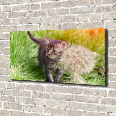 Kitten With A Blowpipe - Wrapped Canvas Print