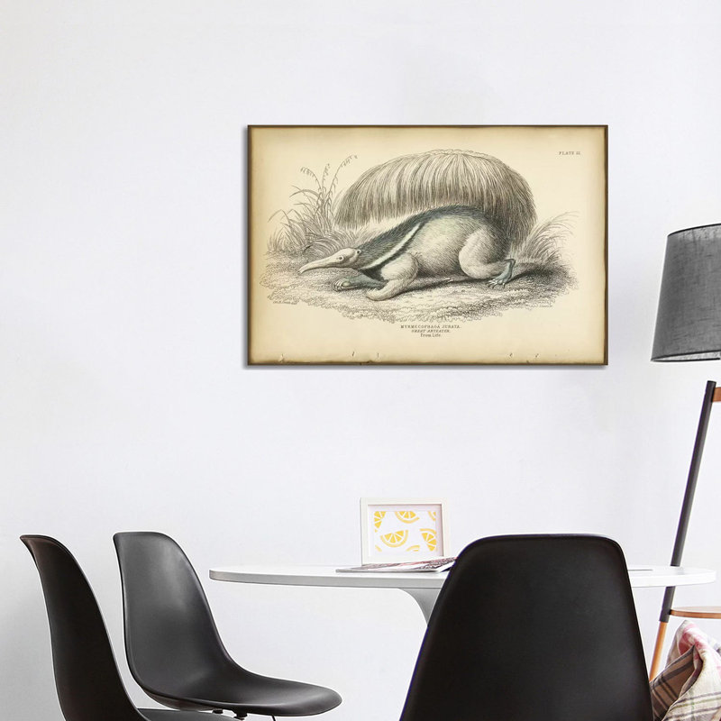 Great Anteater by PI Collection - Wrapped Canvas Painting, 101.6 cm H x 66.04 cm W x 1.91 cm D