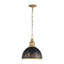 Luminaire suspendu 1 lumière Regena-106853597