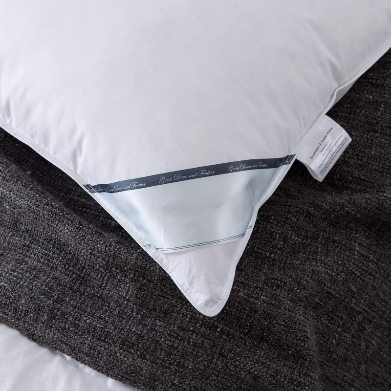 Emeliah L74 x W48cm Support Pillow