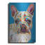 «Nosy Dog 3» par Carolee Vitaletti-411443060