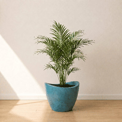 Vinisha ECOBO EcoFriendly Round Pot Planter, Onda IndoorOutdoor use, Four Season Use
