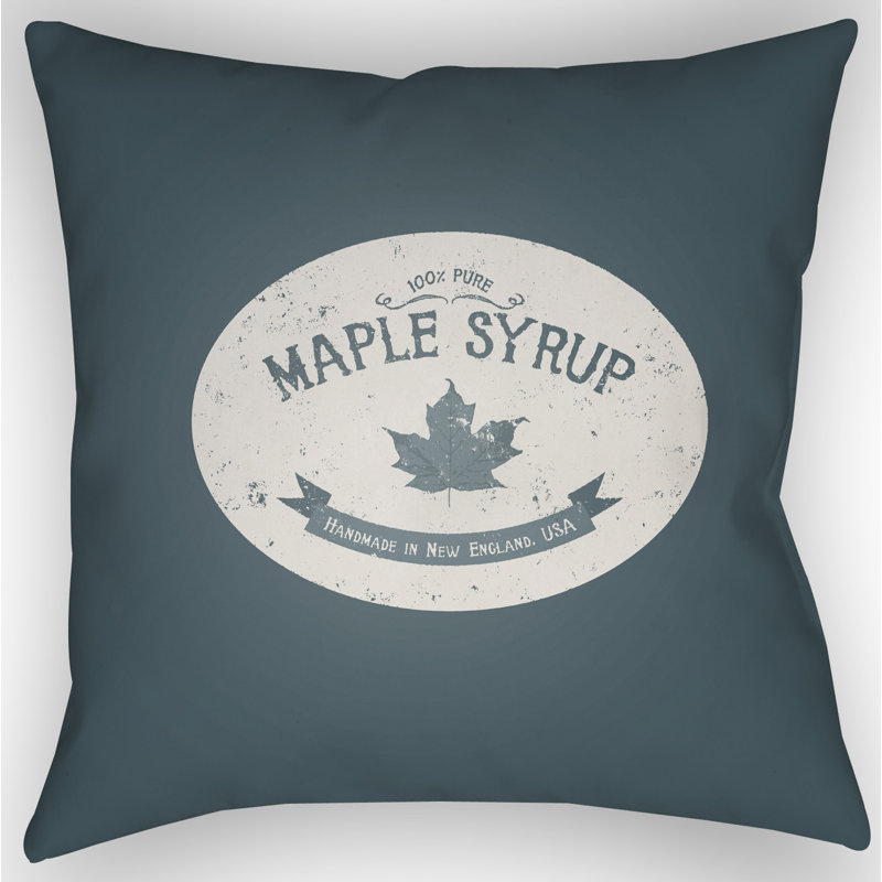 Indoor/Outdoor Throw Pillow, Blue/White, 20" H x 20" W x 4" D