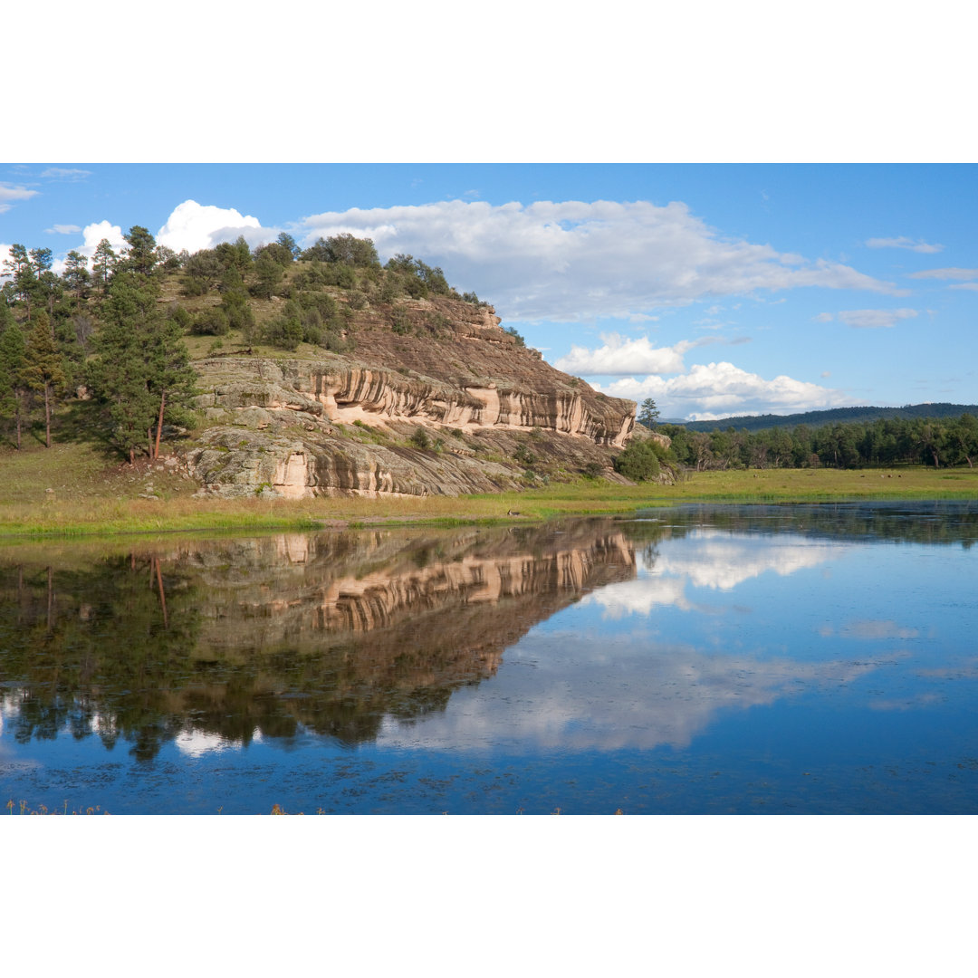 Gila National Forest von Mdulieu - Kunstdrucke auf Leinwand