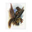 R.J. Art sur toile Mcdonald-1927433980