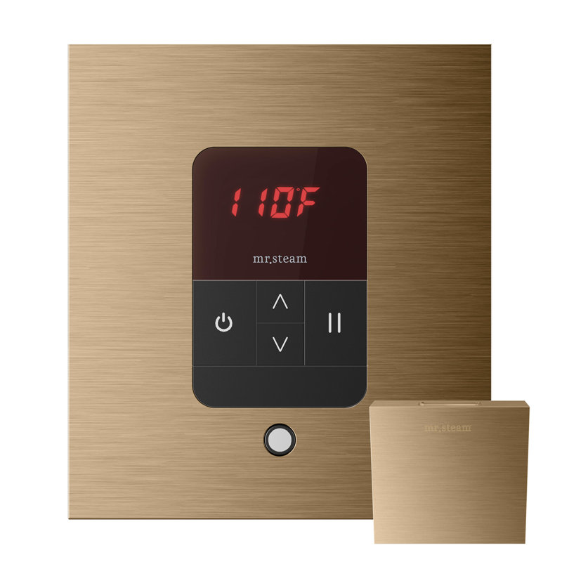 Steam Generator Control, Brushed Bronze