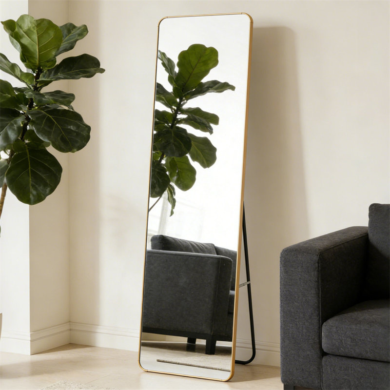 Miroir rectangulaire pleine longueur 58 po x 14 po
