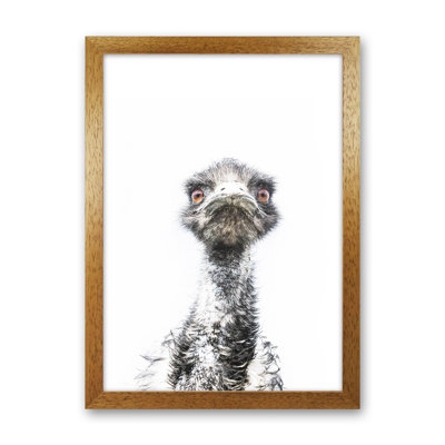 E.M.U by Victoria Frost - Print