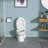 Tusuton 1.28 Gallons GPF Elongated One-Piece Toilet (Seat Included)