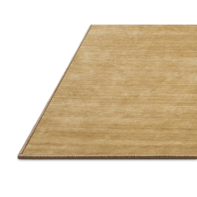 Tapis brun contemporain, Rectangle 2 pi x 5 pi