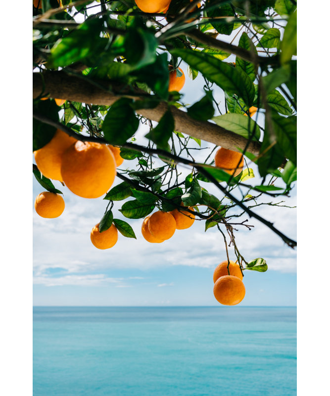 Wrapped Canvas Print, 91.44 cm H x 60.96 cm W