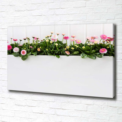 Pink Daisies - Wrapped Canvas Print