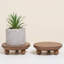 Paquet de 2 supports pour plantes d'intérieur rondes et supports pour plantes Grigoriy-358073033-372554791