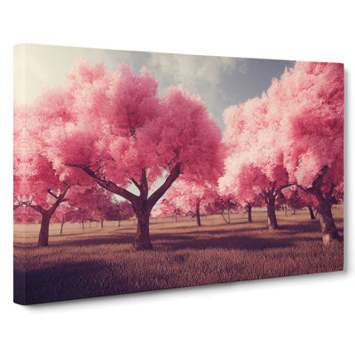 Enticing Cherry Blossom Trees - Wrapped Canvas