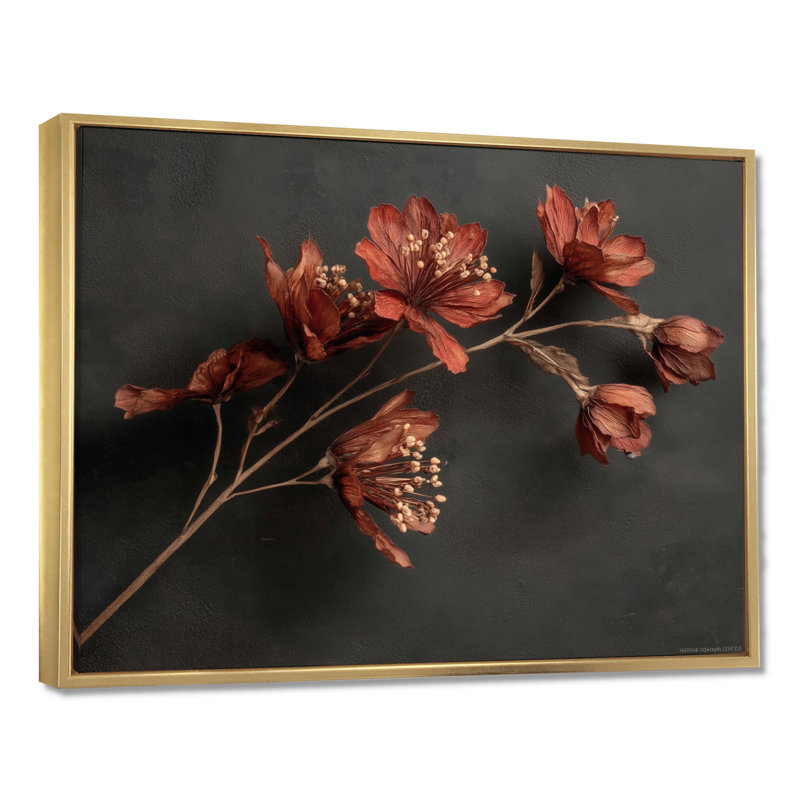 «Delicate Peruvian Lily - Lily, art mural, impression sur toile florale brune, H 12 po x l 20 po, Doré