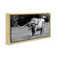 Art mural sur toile flottant, "Longhorn in Grassland", par Lori Deiter-1179698621-1180443001