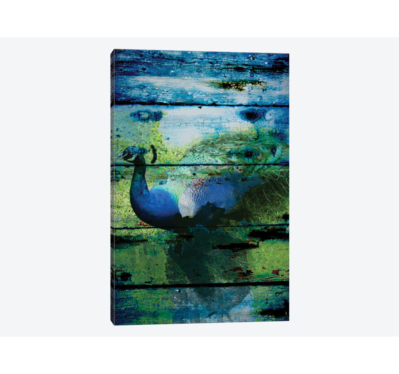 Paon I, impression sur toile tendue, H 60 po x l 40po x P 1,5 po, Toile tendue, Pas de tapis