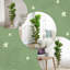 Plant-2104939306