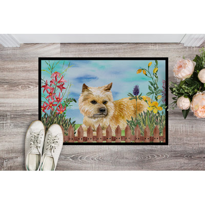 Tapis de porte extérieur antidérapant à ressorts terrier cairn