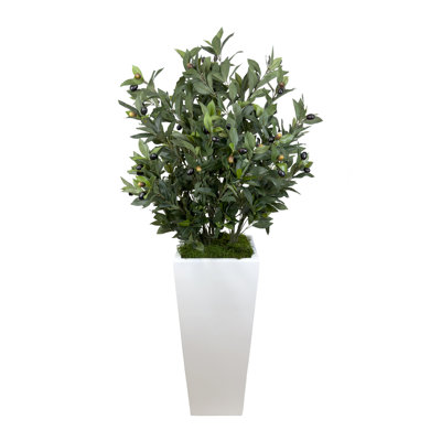 Olive Tree Artificial in Fiberstone Planter