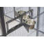 Cage à volière robuste de grande taille, de 79 po x 86 po x P 62 po, pour les perroquets, les aras, les cacatoès, les reptiles, les chiens et les oiseaux.
