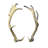 Real Fallow Deer Antler Set