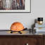 Ensemble de lampe de table 4"