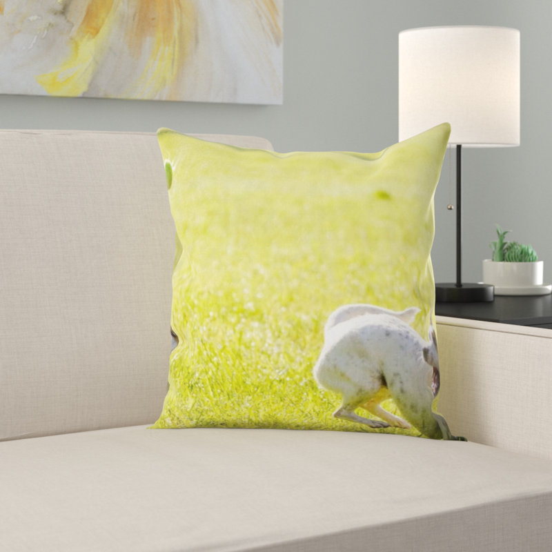 Coussin pour chien