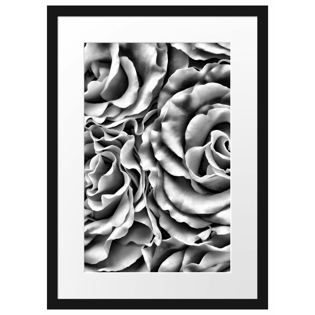 Gerahmtes Poster Blumen Rosen Blumenmeer