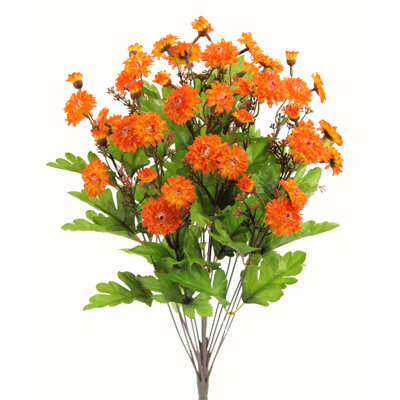 Mum Arrangement