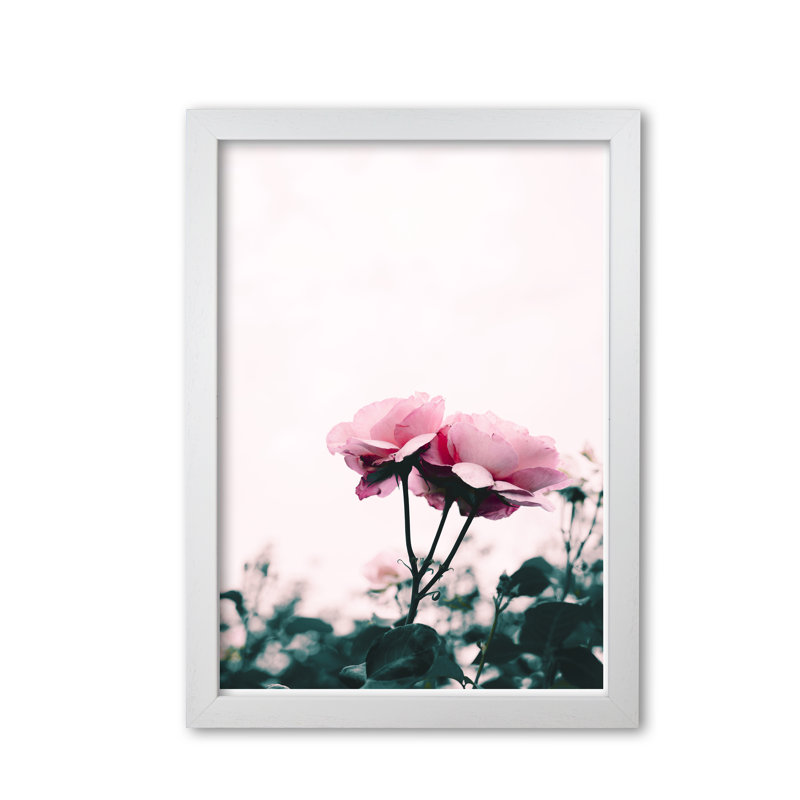 Rose - Print, White Grain Frame, 60 cm H x 42 cm W x 5 cm D