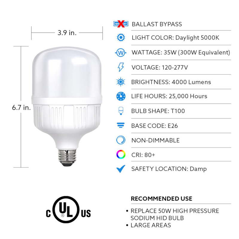 Ampoule à DEL Feit T100 E26 (moyenne), équivalente à 300 watts, paquet de 1