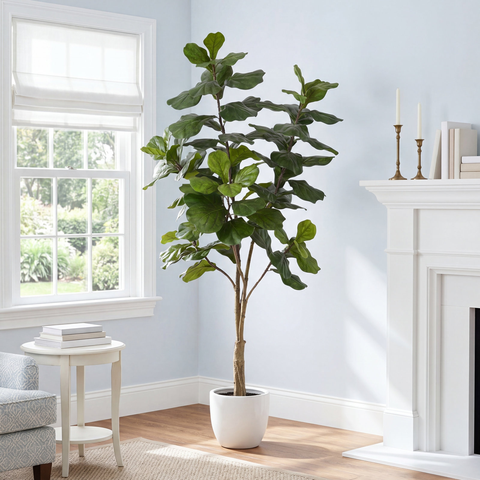 84" Fiddle Leaf Fig Tree in Pot, 84" H x 40" W x 40" D